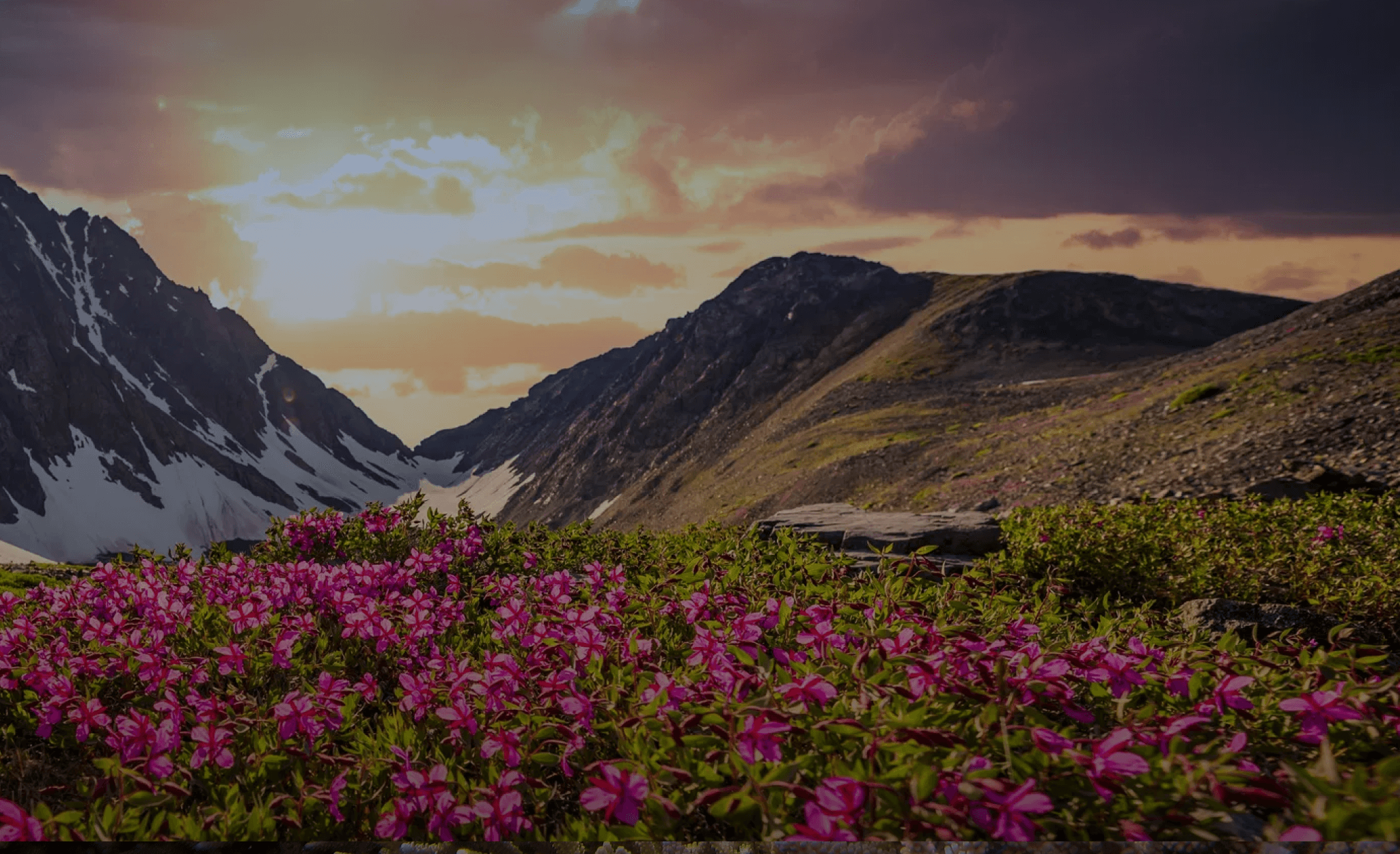 Premium Corporate Gifting Solutions | For Employees and Clients – Loopify