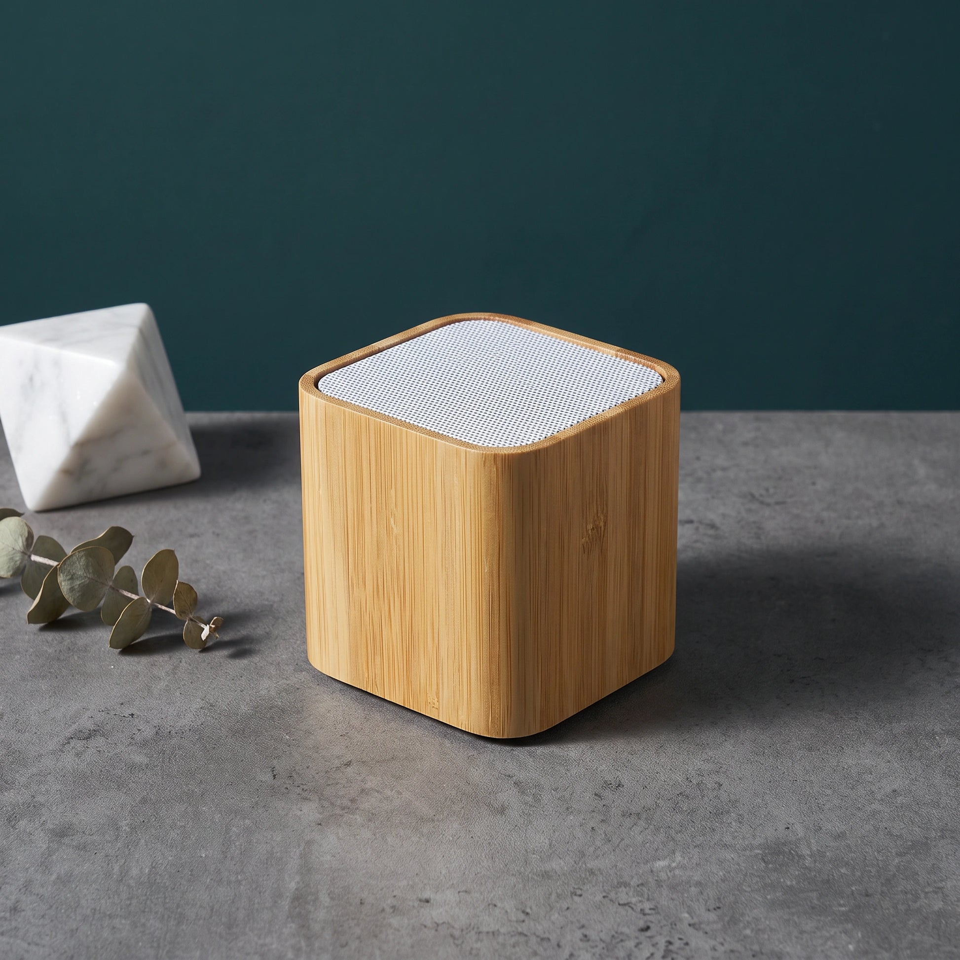 Bant Portable Speaker - Loopify